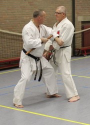 Peter van Haasteren sensei geslaagd voor sho dan Shin Hanbo jutsu