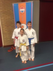 Vanencompetitie Waspik