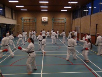 Grote opkomst Dan training 30 september 2015