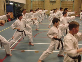 Dan training